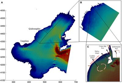 A numerical study on the responses of coastal water quality to river runoff after heavy rainfall in the case of a complex coastline with two artificial islands